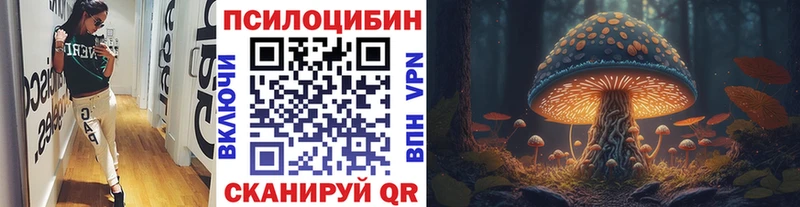 где можно купить Дмитриев Псилоцибиновые грибы ЛСД